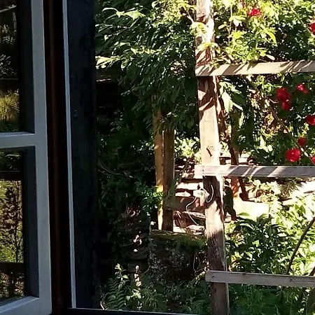 Haus am Oberen Mühlenberg mit GARTENNUTZUNG Monschau Exterior foto