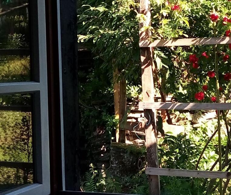 Haus Am Oberen Mühlenberg Mit Gartennutzung *